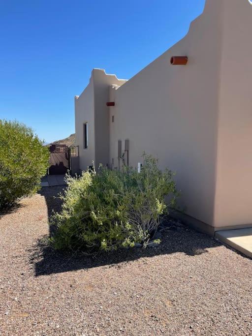 Tucson Mnt Foothills Saguaro Blissヴィラ エクステリア 写真