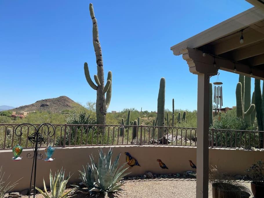 Tucson Mnt Foothills Saguaro Blissヴィラ エクステリア 写真