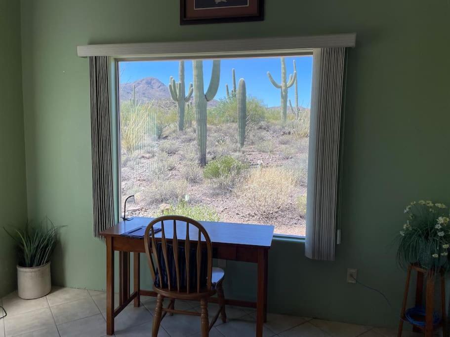 Tucson Mnt Foothills Saguaro Blissヴィラ エクステリア 写真