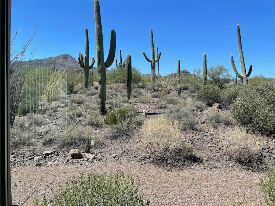 Tucson Mnt Foothills Saguaro Blissヴィラ エクステリア 写真