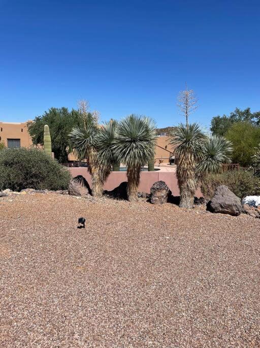 Tucson Mnt Foothills Saguaro Blissヴィラ エクステリア 写真