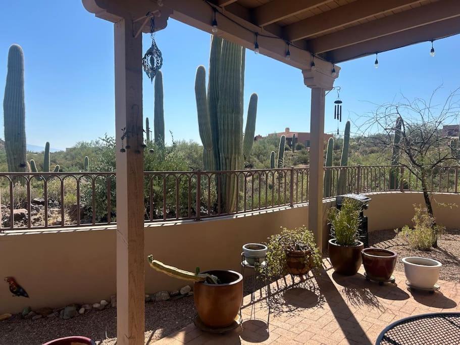 Tucson Mnt Foothills Saguaro Blissヴィラ エクステリア 写真